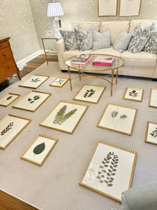 Framed original pressed botanicals