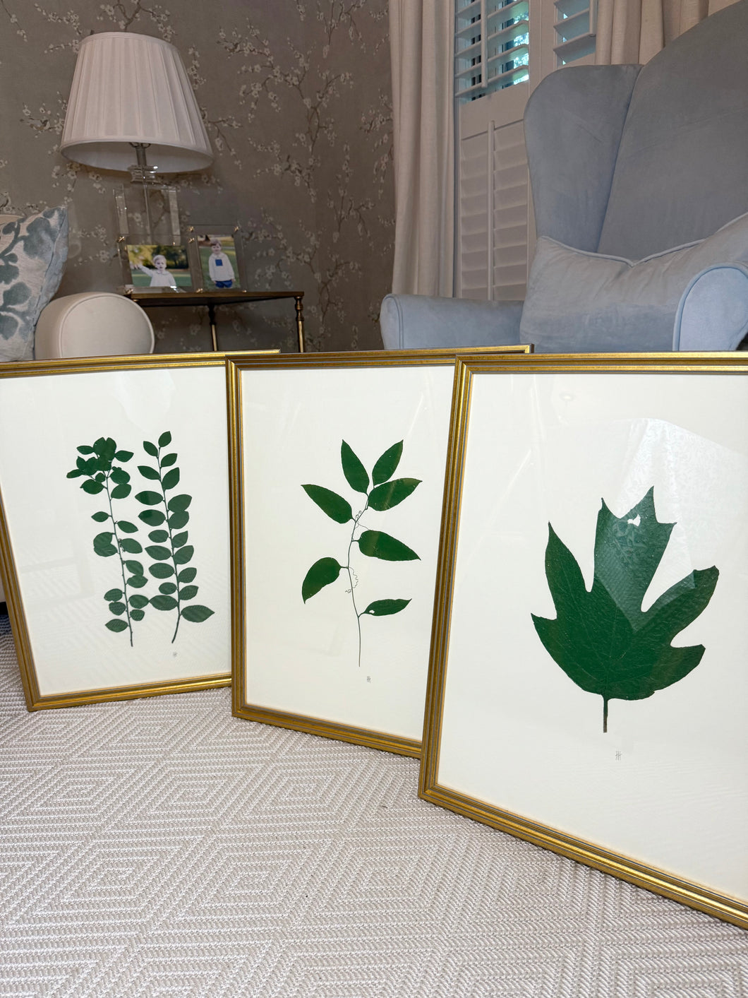 Set of 3 framed botanicals (painted)