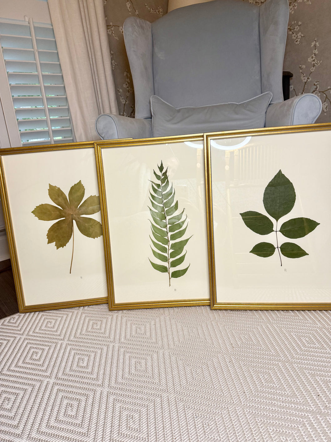 Set of 3 natural pressed botanicals