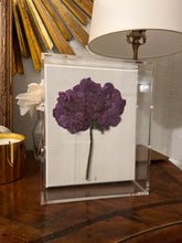 Load image into Gallery viewer, 8x10 acrylic box dried hydrangea

