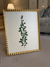 Load image into Gallery viewer, Set of 4 framed green botanicals
