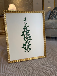 Set of 4 framed green botanicals