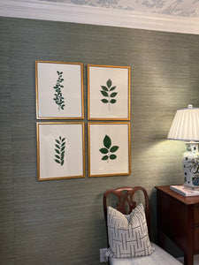 Set of 4 framed botanicals