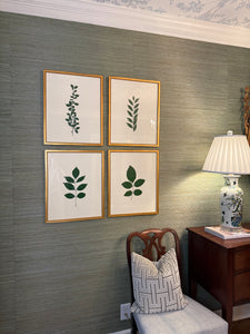 Set of 4 framed botanicals