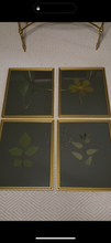 Load image into Gallery viewer, Set of 4 Pressed botanicals on olive green matboard
