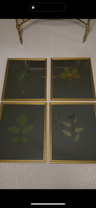 Set of 4 Pressed botanicals on olive green matboard
