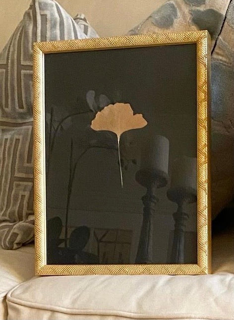 Gold leaf ginkgo in a gold frame (4 available)