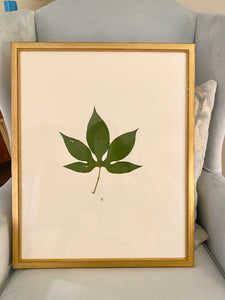 17x21 custom framed botanical