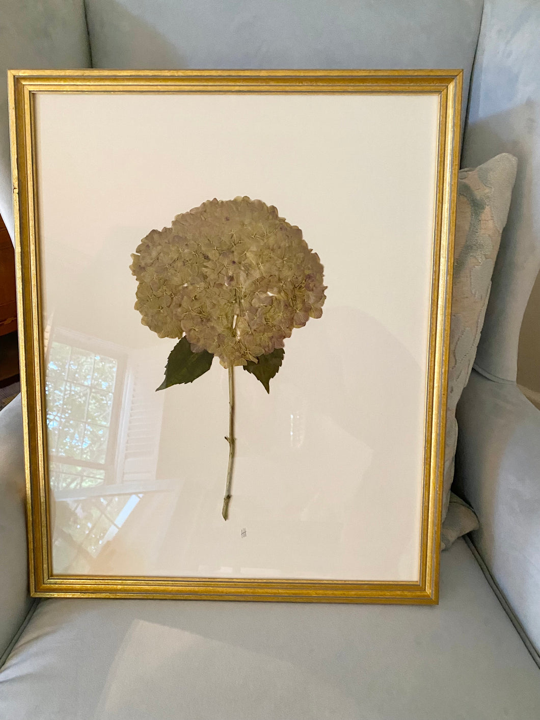 Custom framed hydrangea