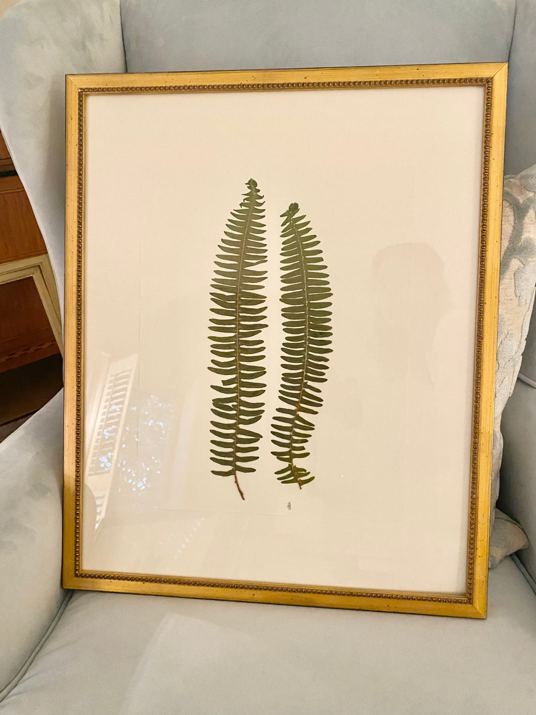 17x21 custom framed botanical