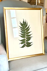 Preserved Painted botanical