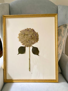 Custom framed hydrangea